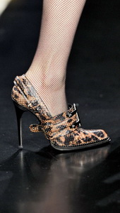 туфли 2013 cavalli туфли 2013 roberto cavalli